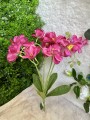 IMG_0750.jpeg
