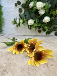 Kwiat rudbekia żółty 73