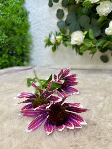 Kwiat rudbekia ciemny fiolet 73 