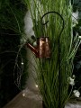 IMG_1294.jpeg