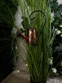 IMG_1293.jpeg