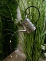 IMG_1297.jpeg