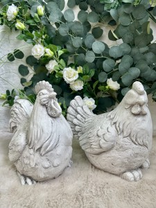 Zestaw kura i kogut 28/30