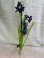 IMG_1535.jpeg