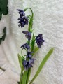 IMG_1536.jpeg