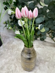 Tulipan gumowy pudrowy róż  45