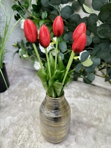 Tulipan gumowy czerwony 45