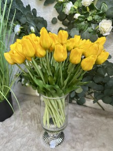 Tulipan gumowy żółty 46 