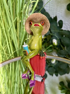 Żaba podróżniczka 17