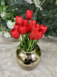 Tulipan gumowy czerwony 40 