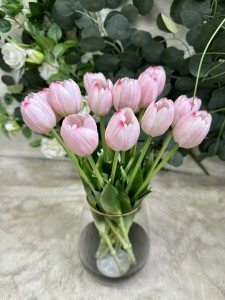 Tulipan gumowy pudrowy róż 40 