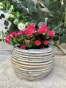 Osłonka  drewniana beżowa 25