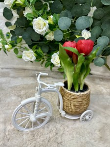 Rowerek jasny brąz  16