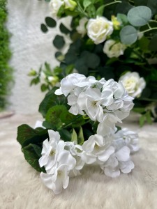 Pelargonia biała 40