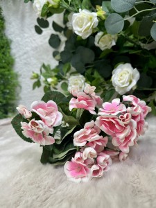 Pelargonia jasny róż ombre 40 