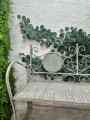 IMG_3540.jpeg