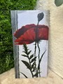 IMG_3927.jpeg