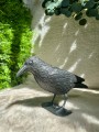 IMG_4011.jpeg