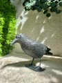 IMG_4012.jpeg