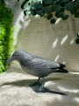 IMG_4013.jpeg