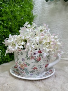 Osłonka filiżanka w kwiaty 13 