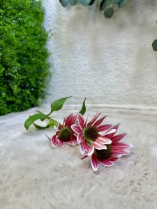 Kwiat rudbekia ciemny róż  73  