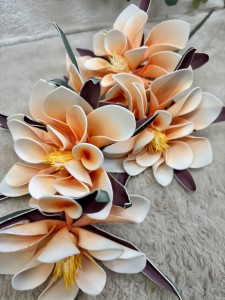 Magnolia piankowa jasny  pomarańcz   110     