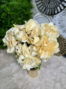 Bukiet Hortensji waniliowej 43