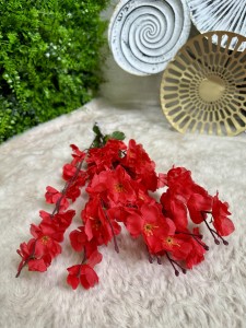 Wiśnia  czerwona 55 