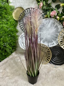 Trawa w doniczce ombre 52