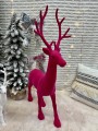 IMG_5174.jpeg