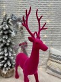IMG_5175.jpeg