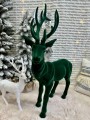 IMG_5207.jpeg