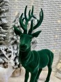 IMG_5208.jpeg
