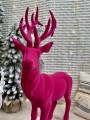 IMG_5224.jpeg