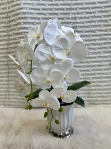 Storczyk w doniczce 55  