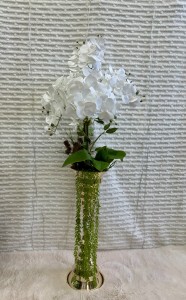 Storczyk w doniczce 125 