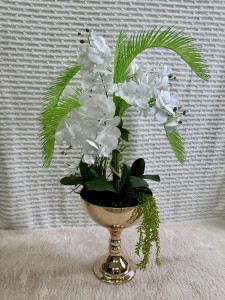 Storczyk w doniczce 100