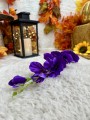 IMG_6775.jpeg