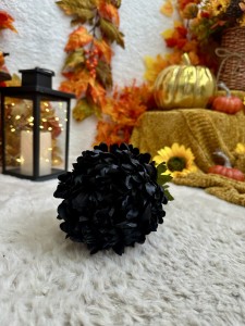 Chryzantema czarna 78 