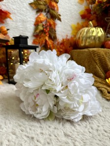 Bukiet biały piwonii 50