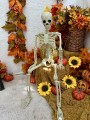 IMG_7477.jpeg