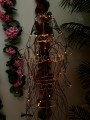 IMG_7542.jpeg