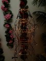 IMG_7543.jpeg