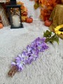 IMG_7735.jpeg