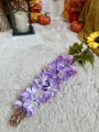 IMG_7736.jpeg