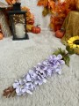 IMG_7737.jpeg