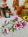 IMG_7740.jpeg