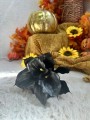 IMG_8247.jpeg