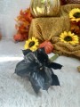 IMG_8248.jpeg